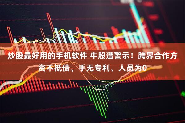炒股最好用的手机软件 牛股遭警示！跨界合作方资不抵债、手无专利、人员为0